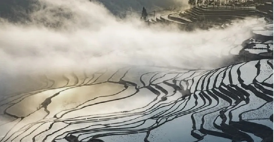 苍山洱海的私人会所